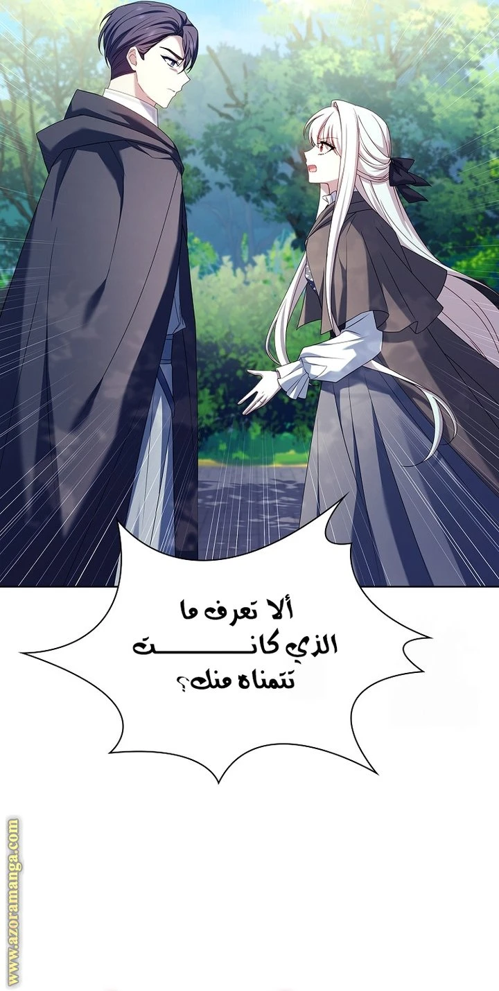 الصفحة 45