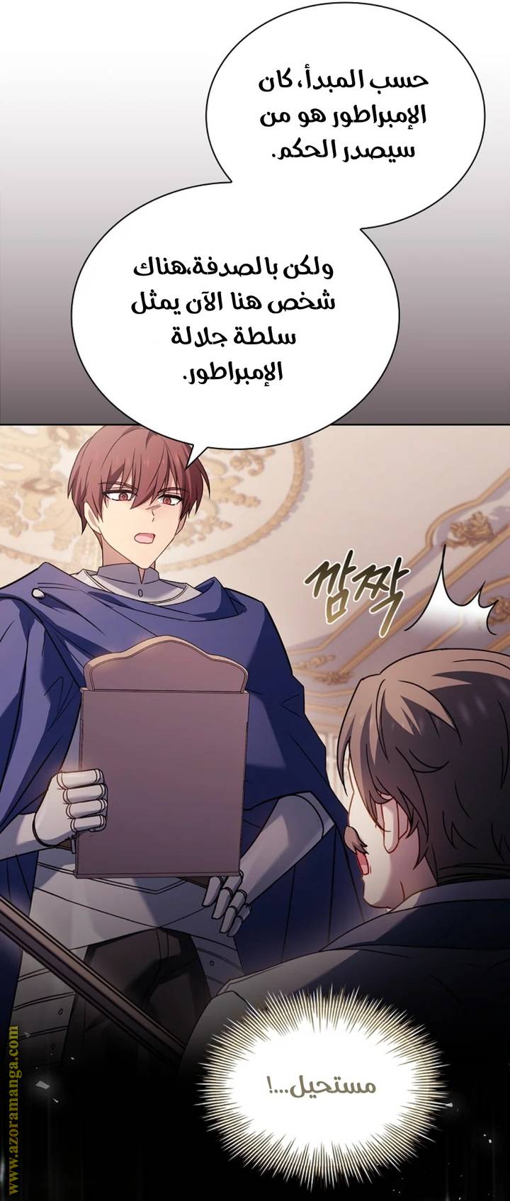 الصفحة 17