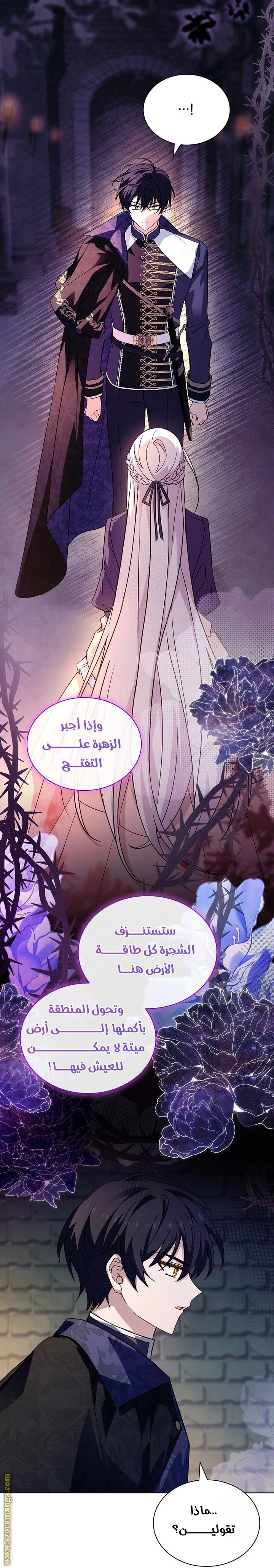 الصفحة 29