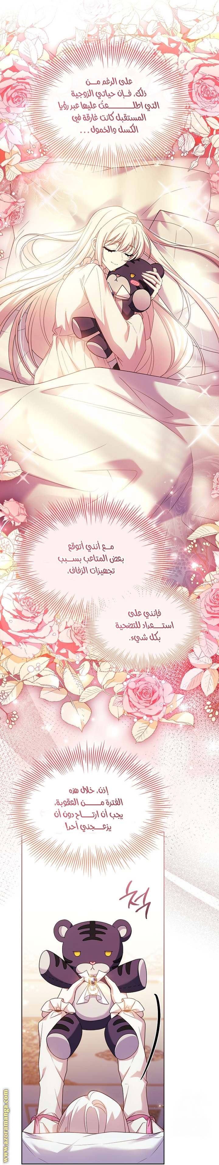 الصفحة 42
