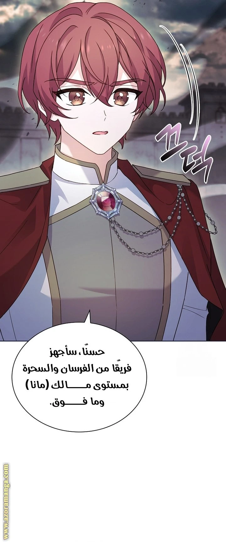الصفحة 13