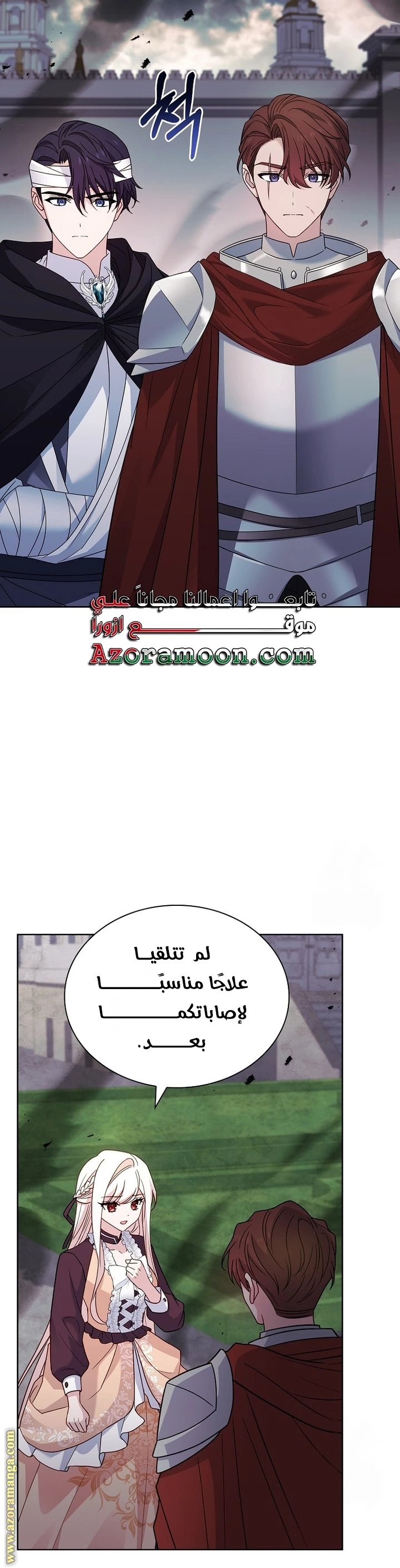 الصفحة 21