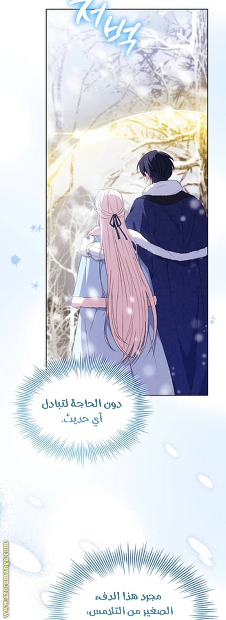 الصفحة 27