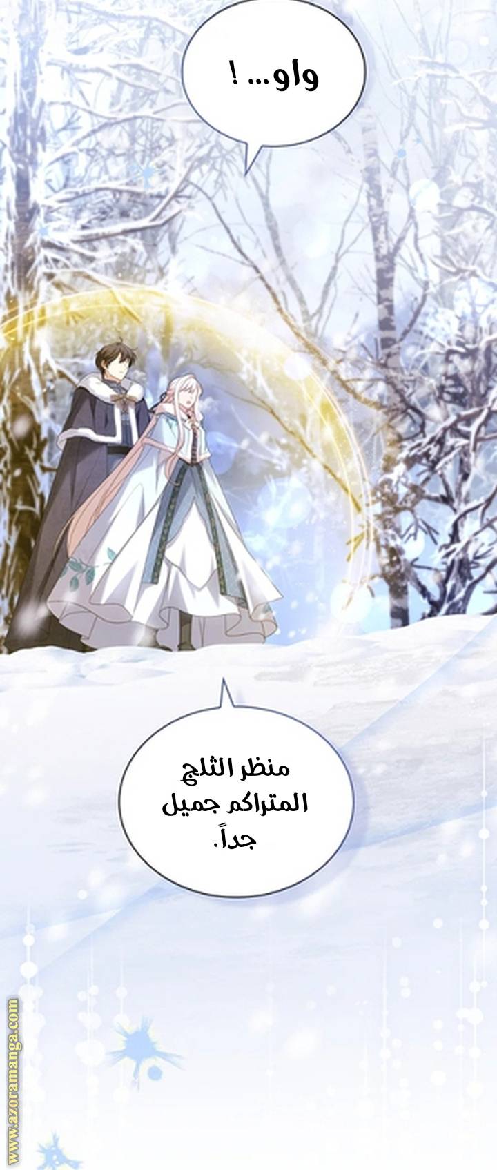 الصفحة 31