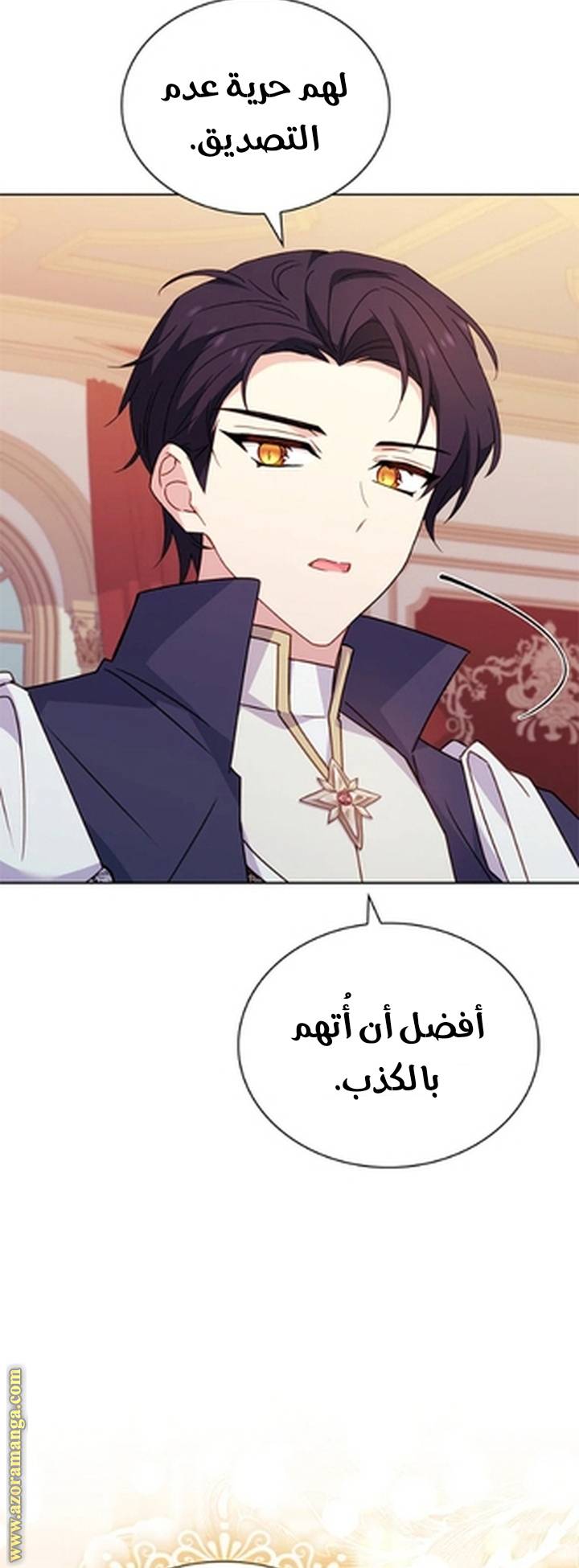 الصفحة 27
