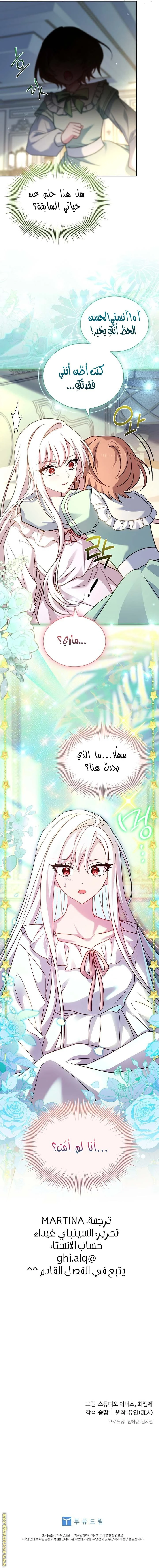 الصفحة 13