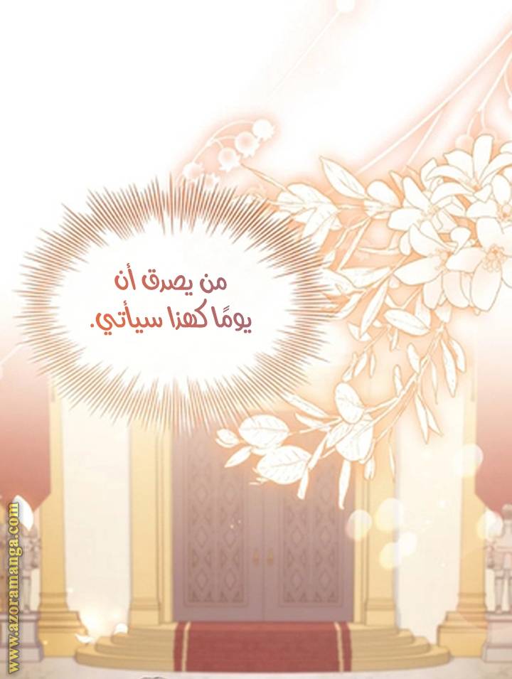 الصفحة 42