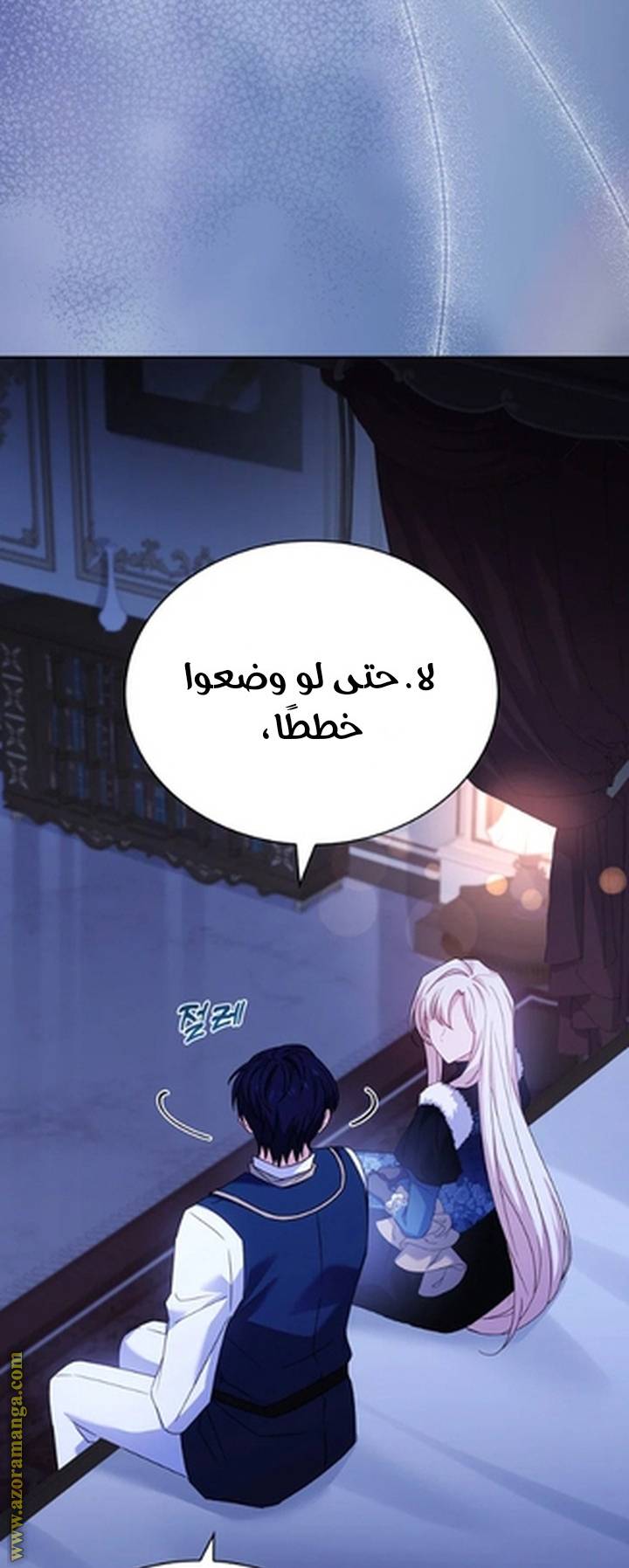 الصفحة 29
