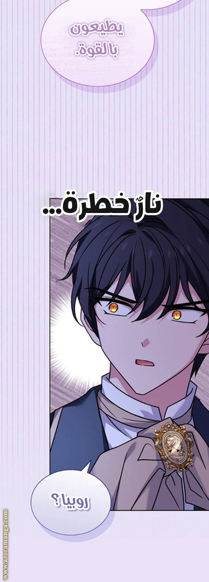 الصفحة 42