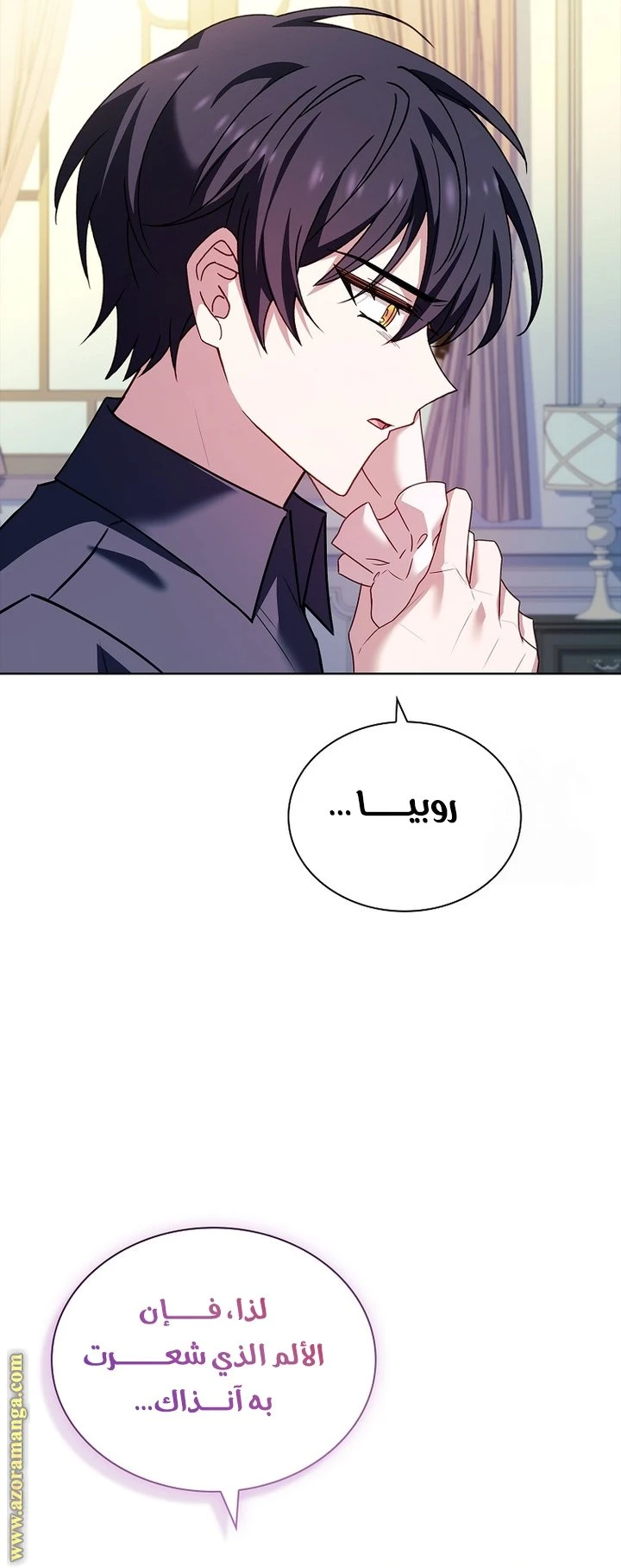 الصفحة 17
