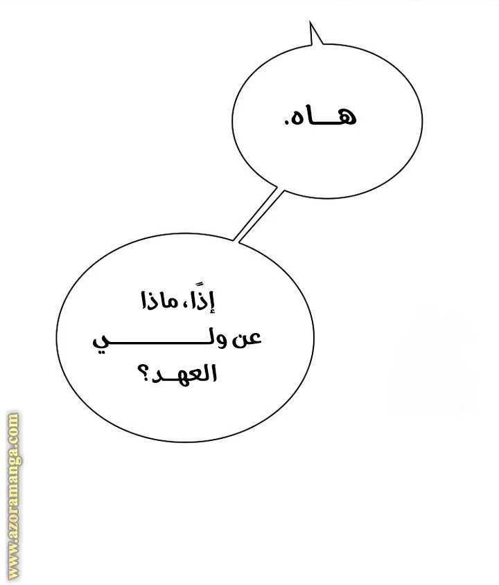الصفحة 25