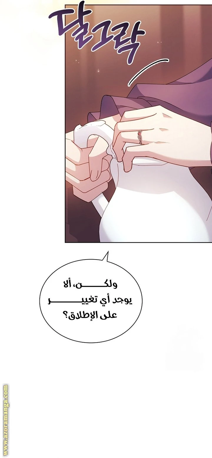 الصفحة 51