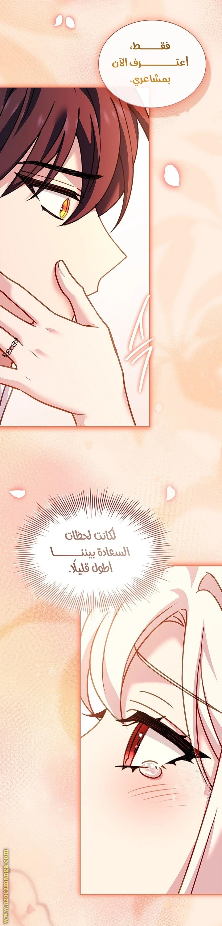 الصفحة 16