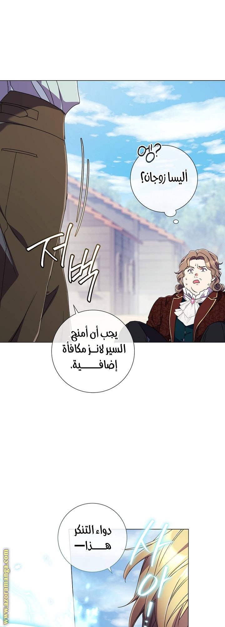 الصفحة 13
