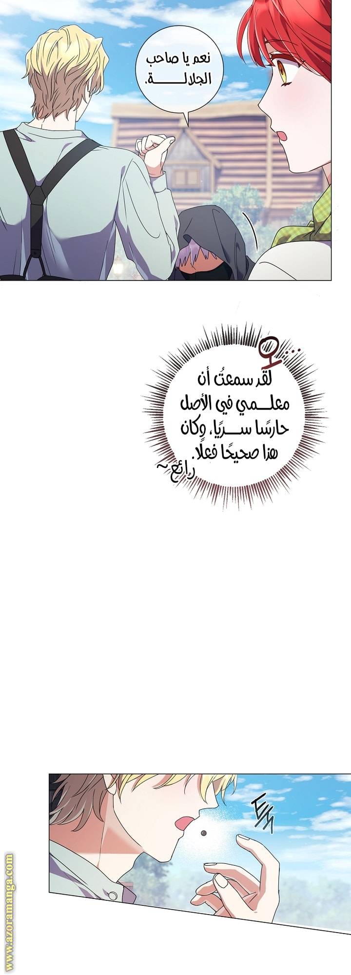الصفحة 21