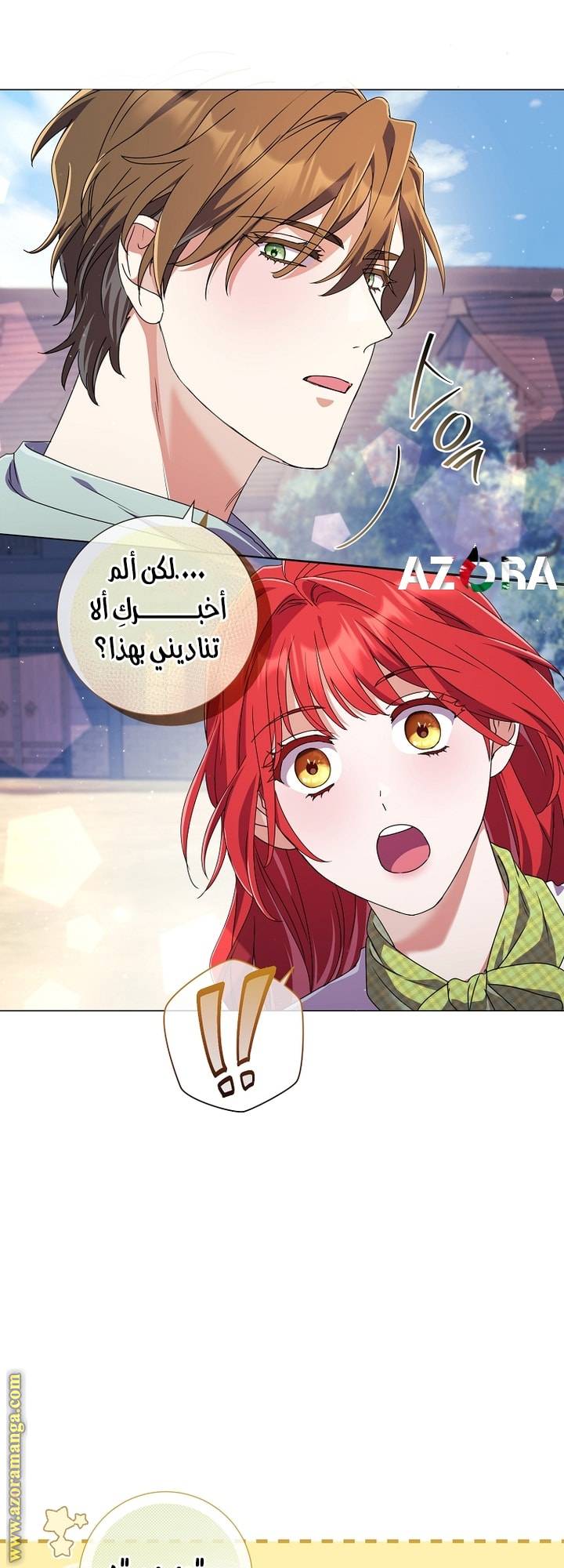 الصفحة 26