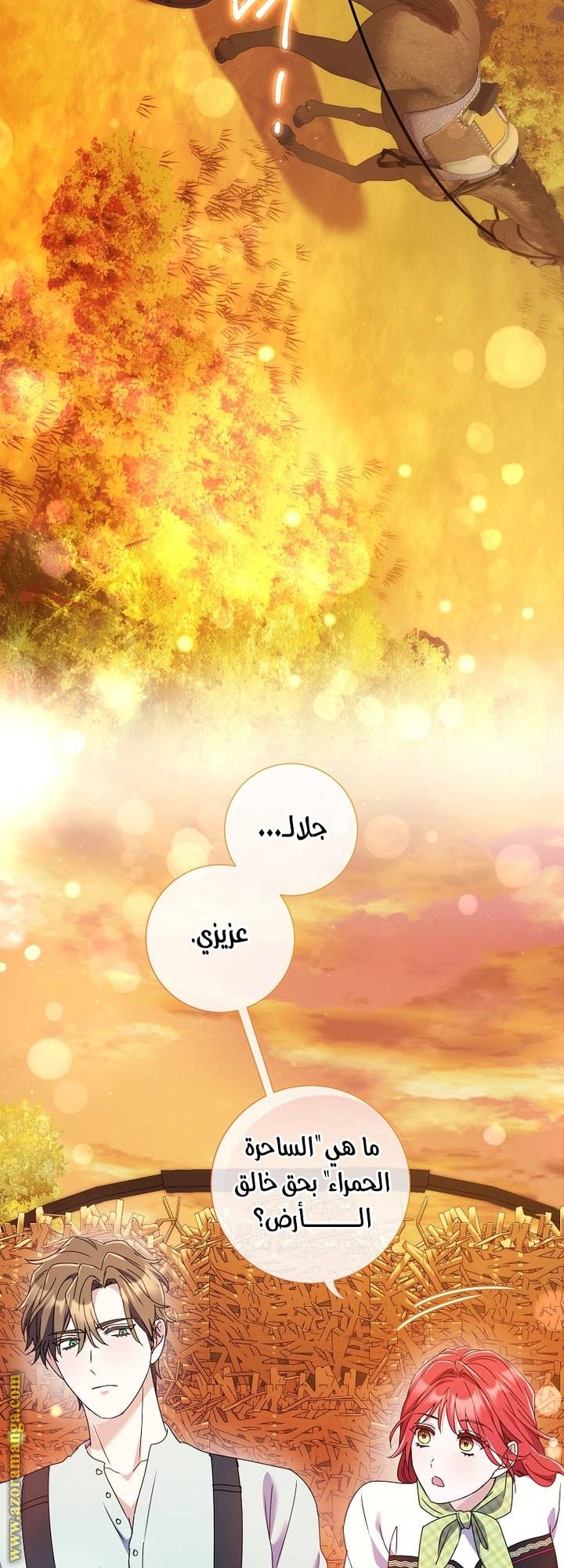 الصفحة 38