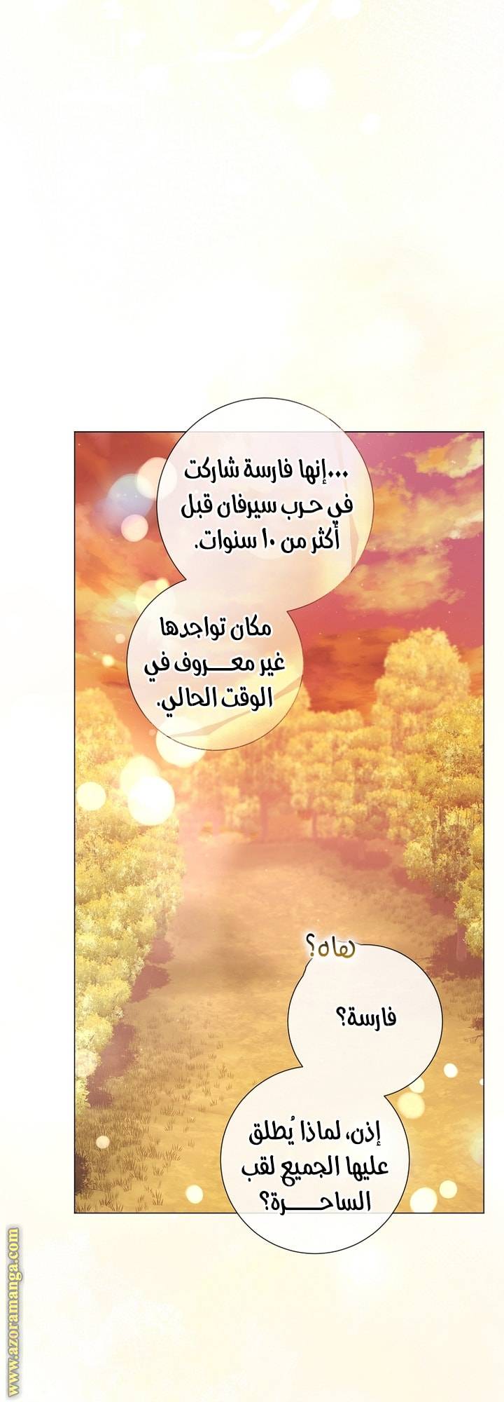 الصفحة 40