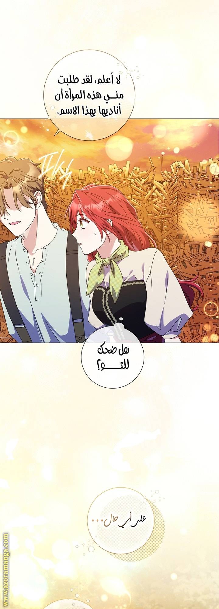 الصفحة 41
