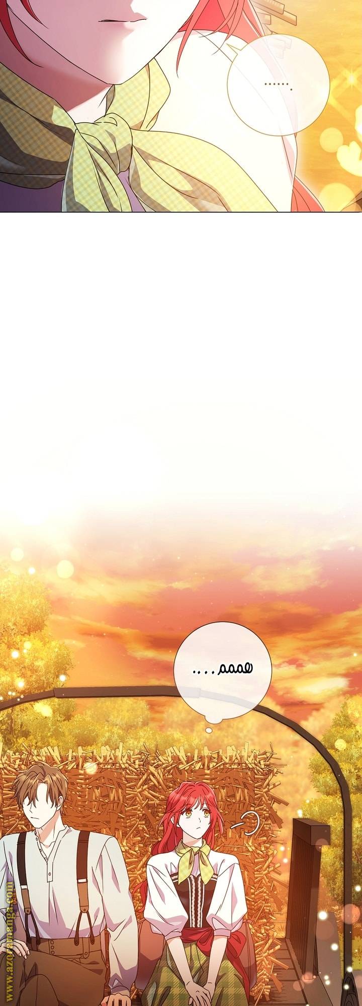 الصفحة 43