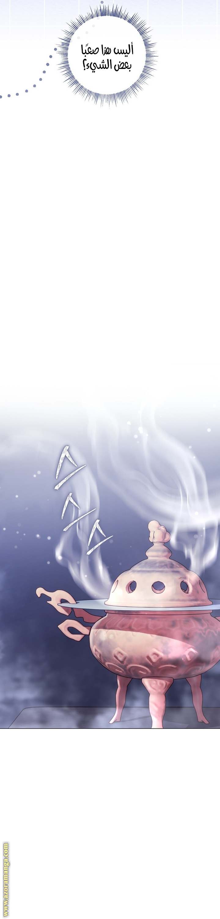 الصفحة 27