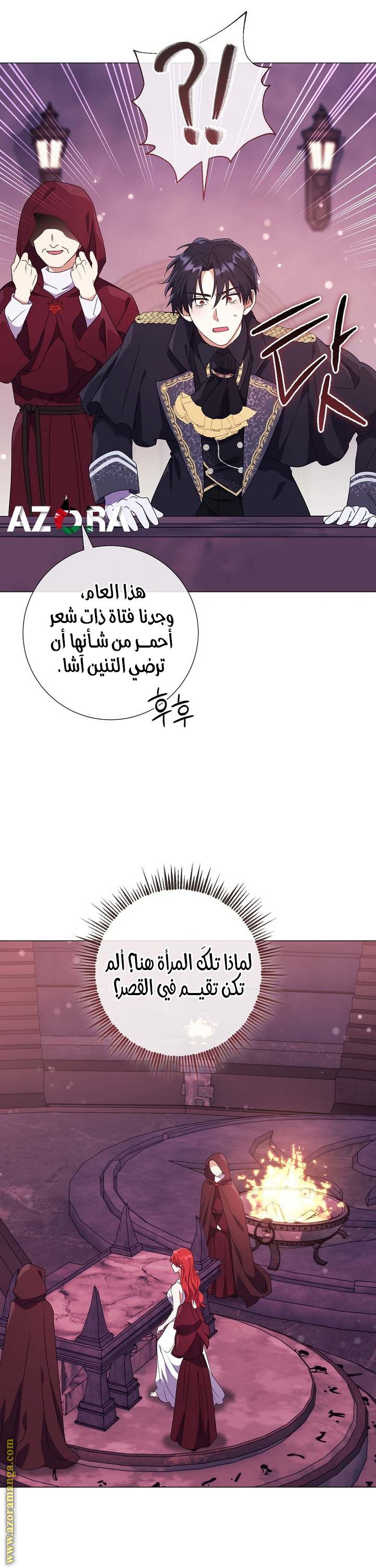 الصفحة 41