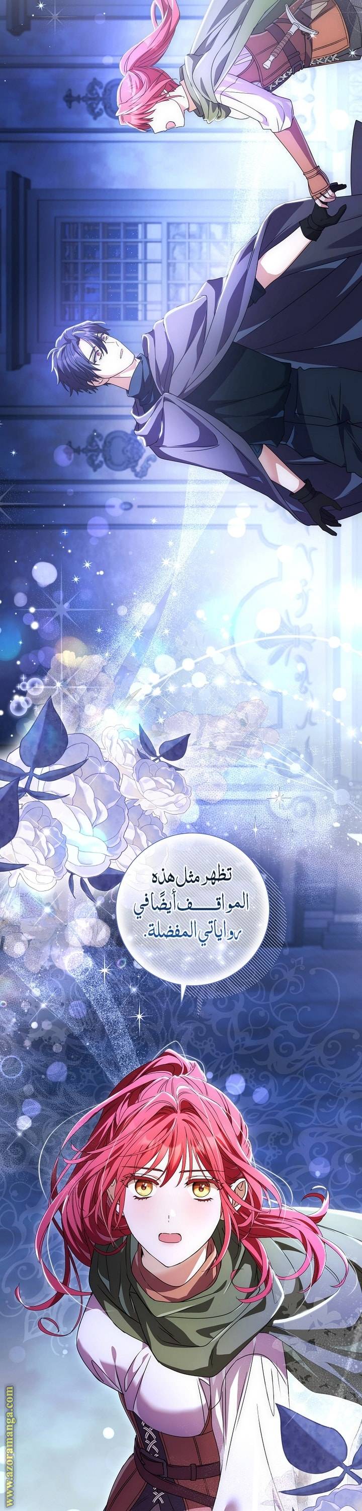 الصفحة 29