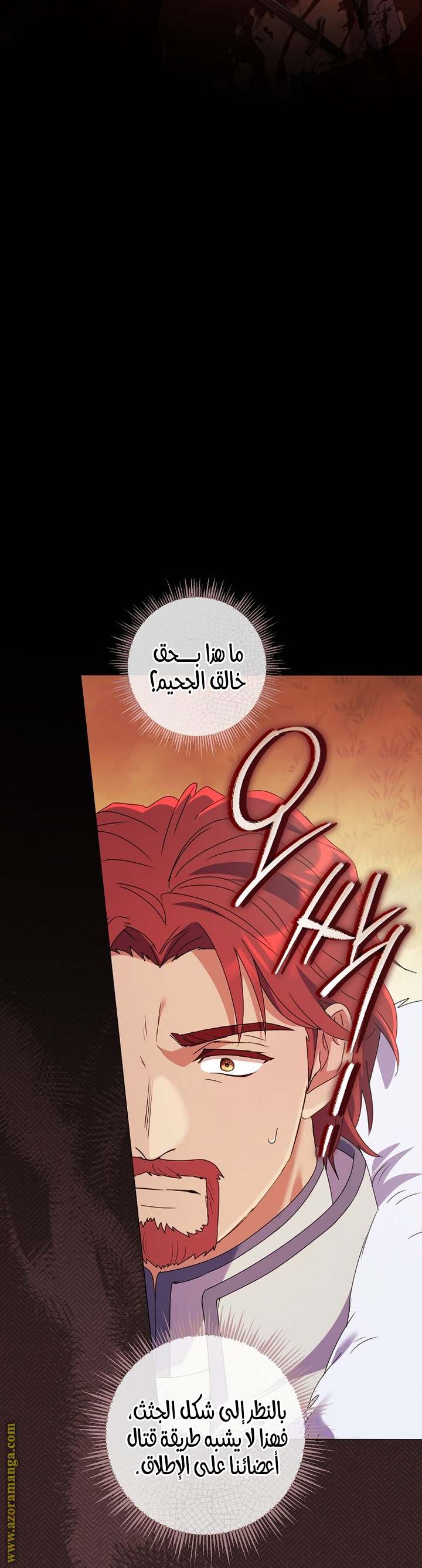 الصفحة 25