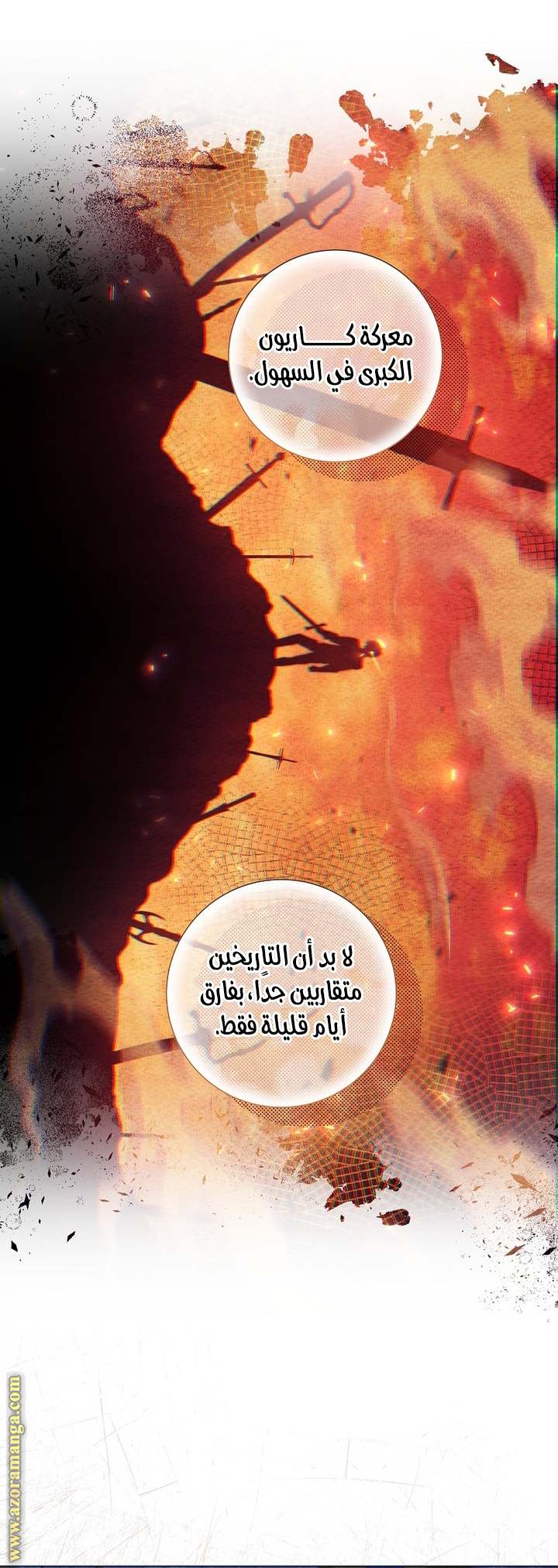 الصفحة 30