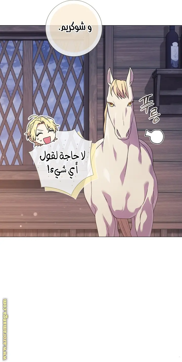الصفحة 35