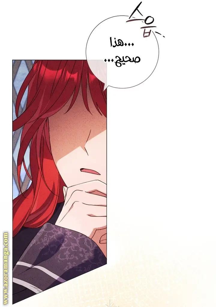 الصفحة 40
