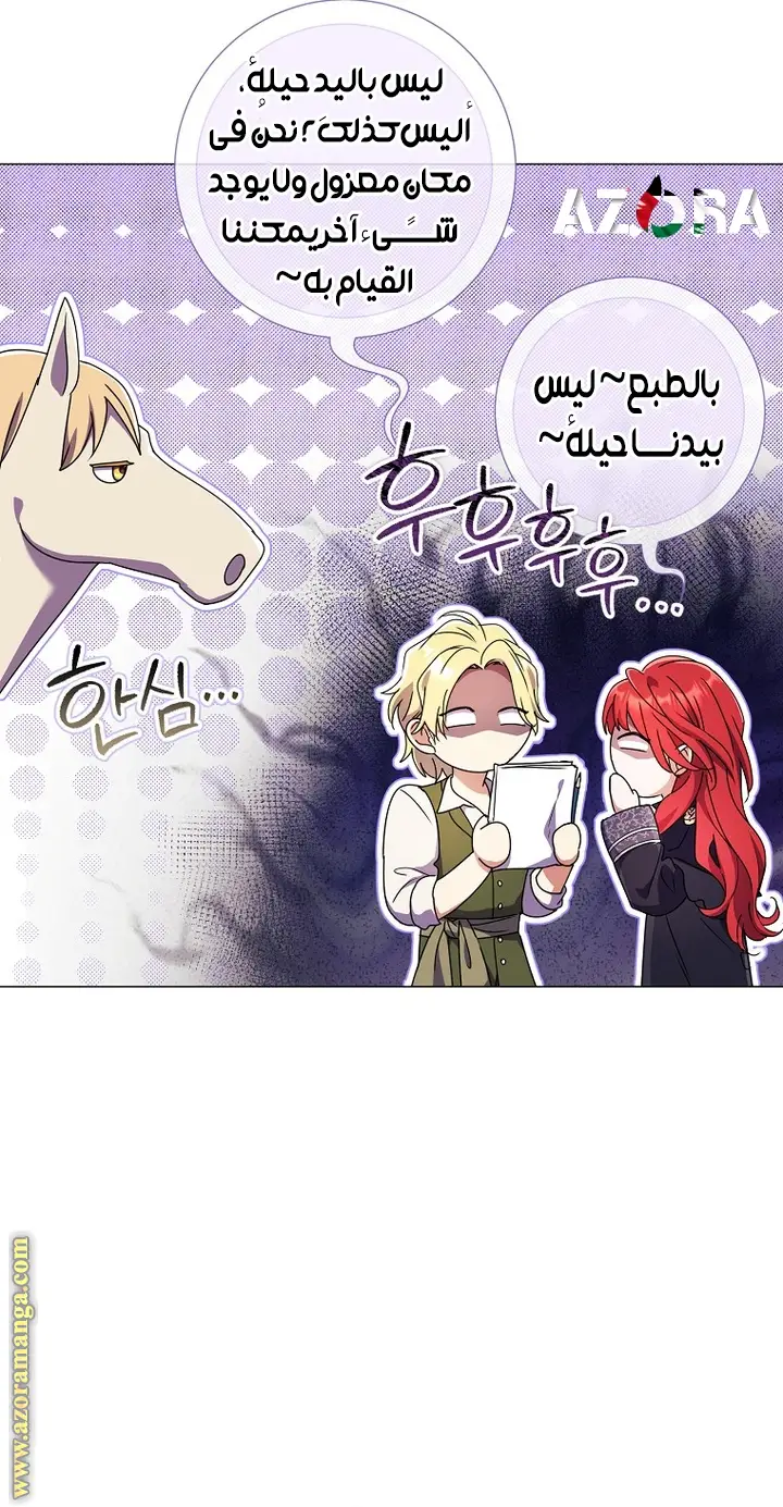 الصفحة 43