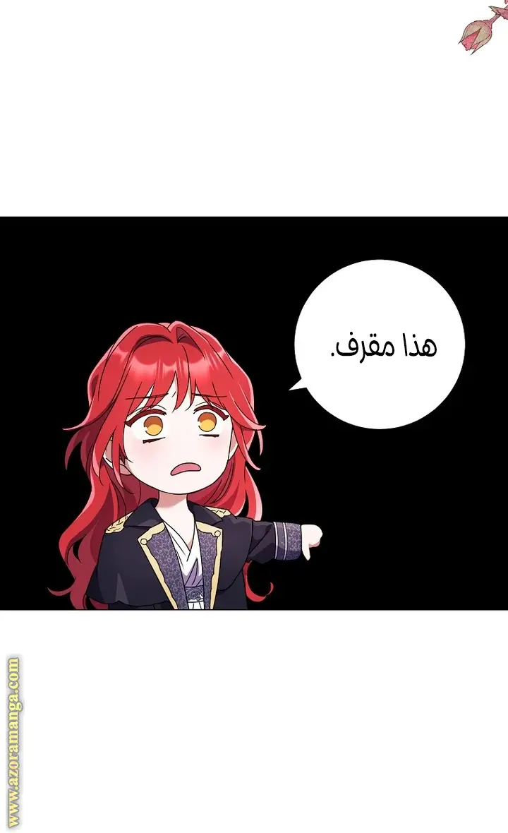 الصفحة 49