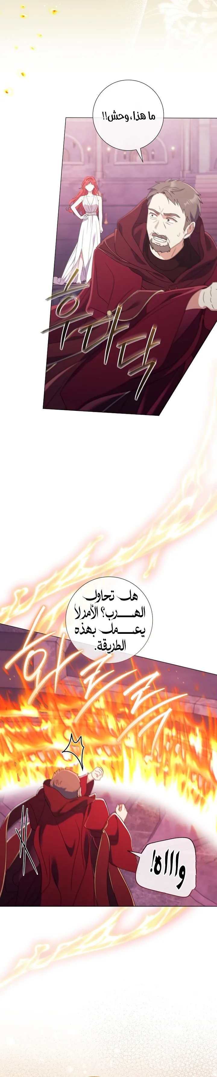 الصفحة 25