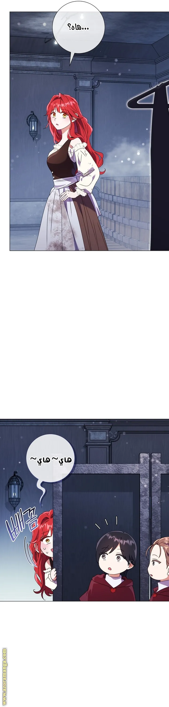 الصفحة 25