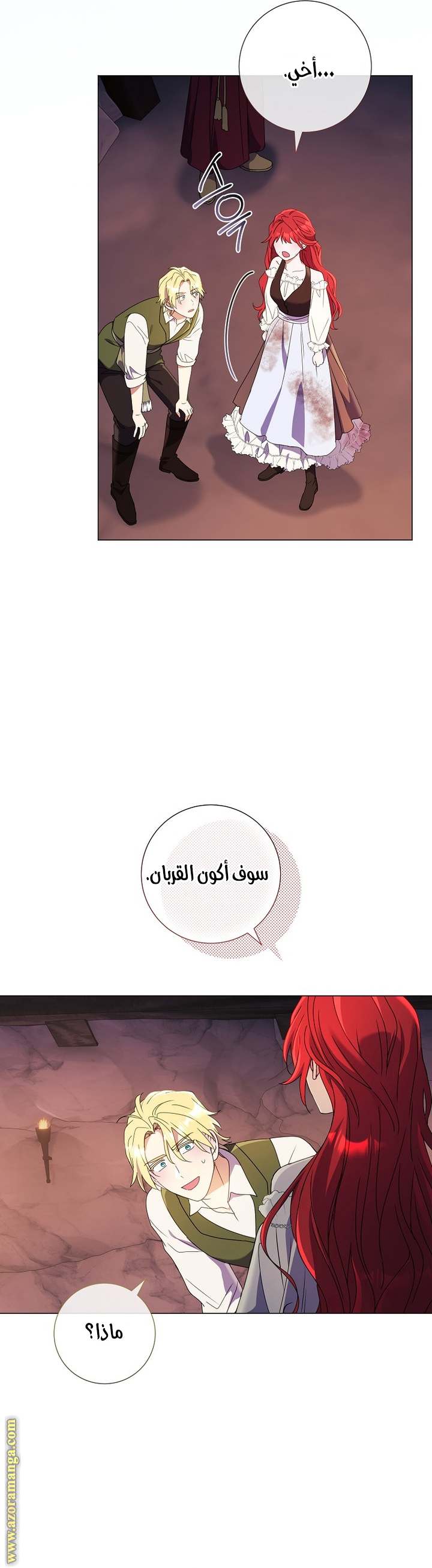 الصفحة 12