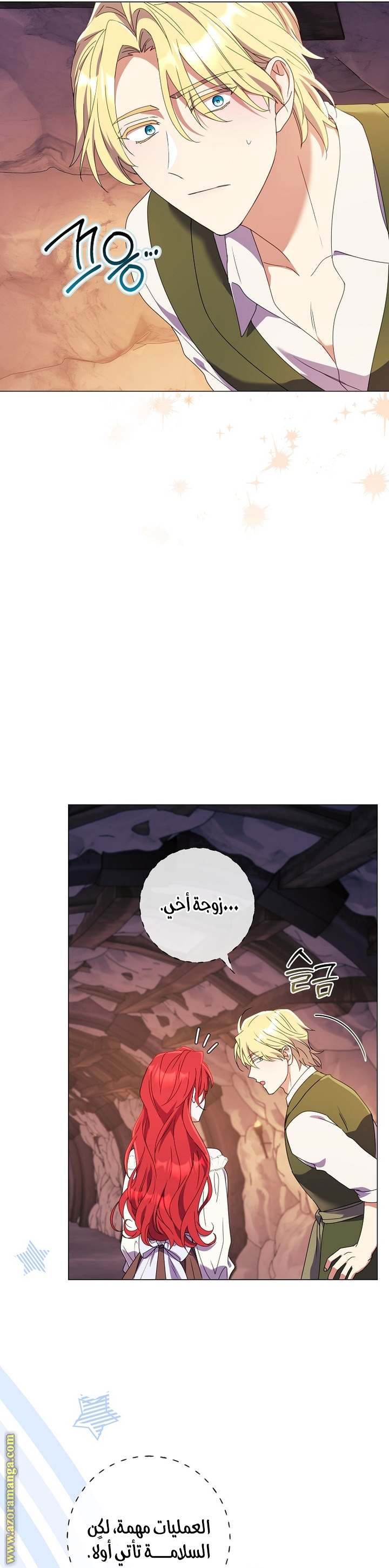 الصفحة 14