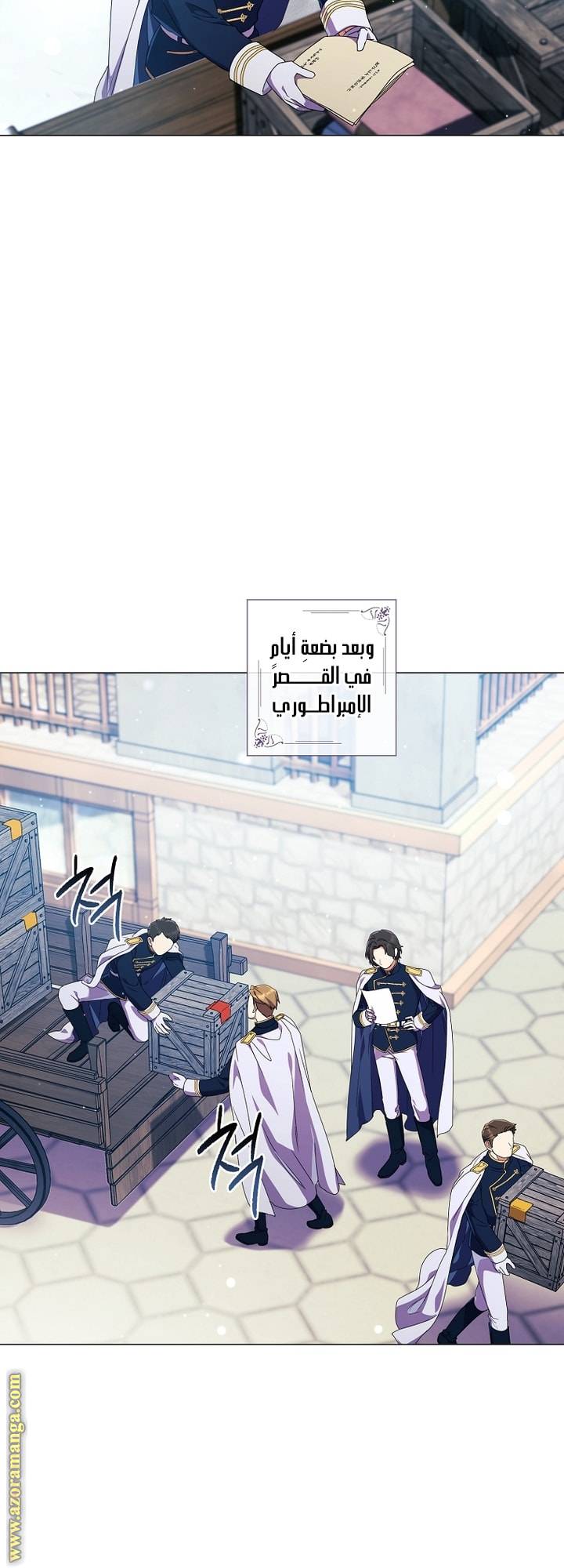 الصفحة 5