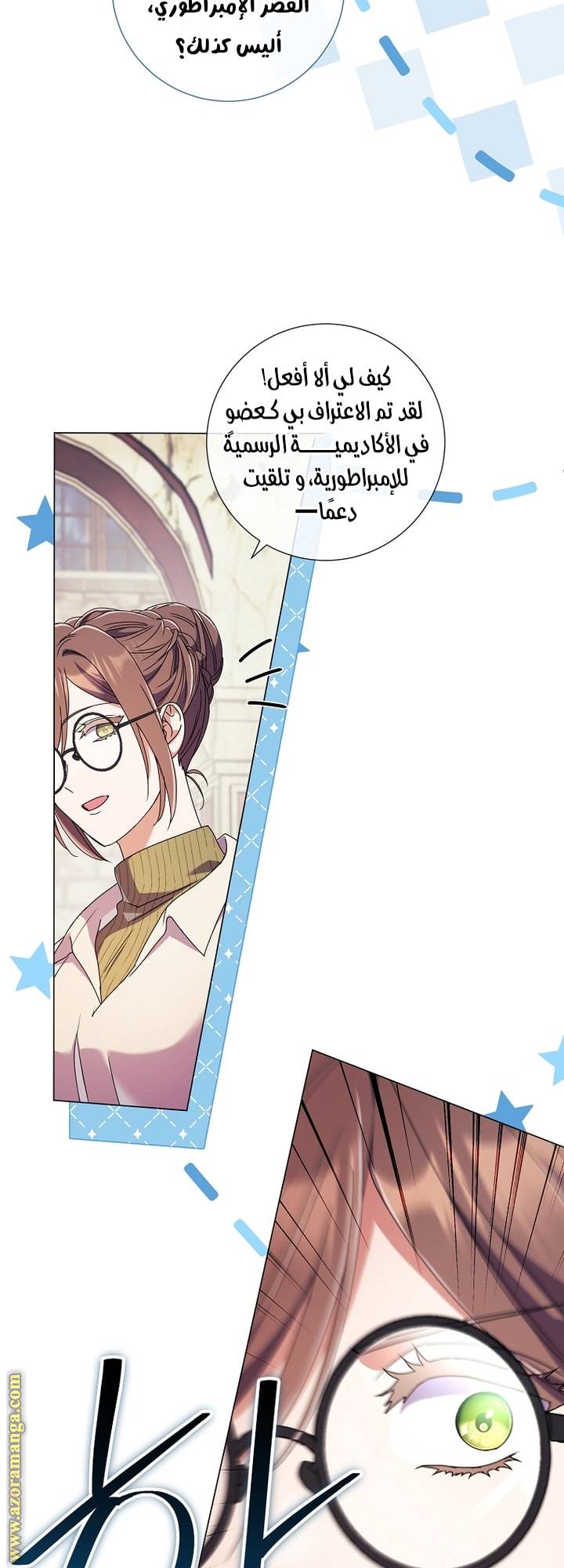 الصفحة 17