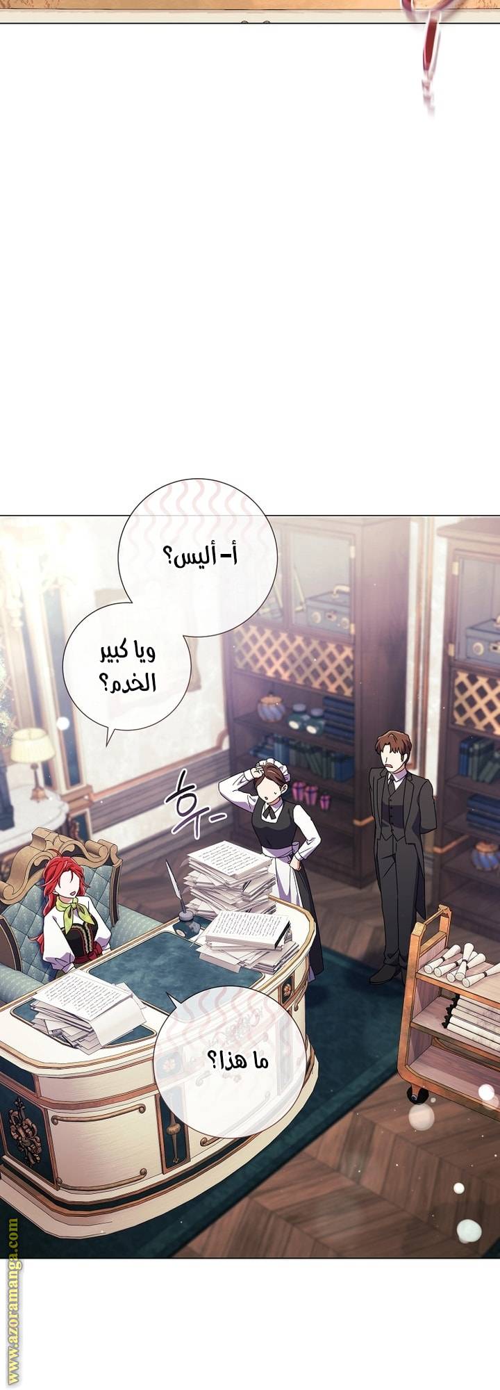 الصفحة 46