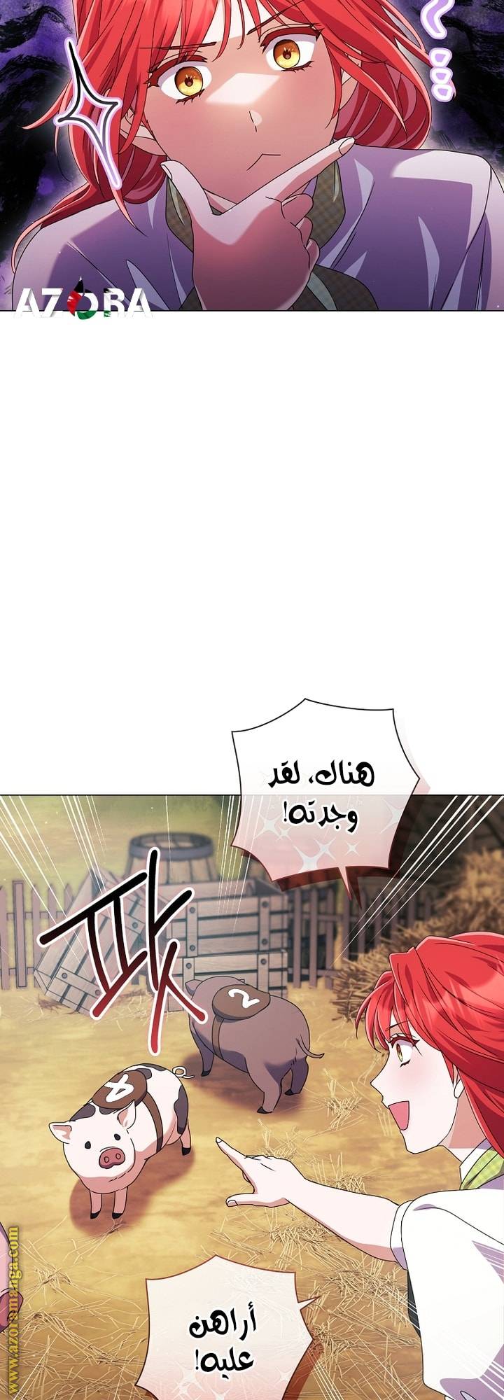 الصفحة 11