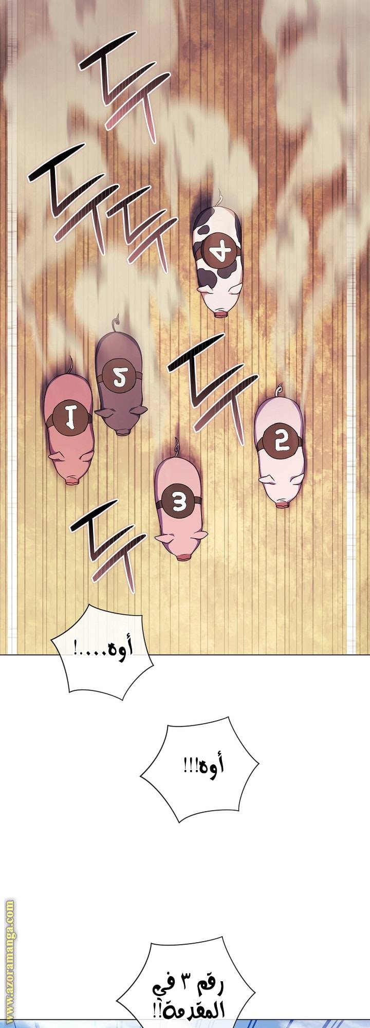 الصفحة 16