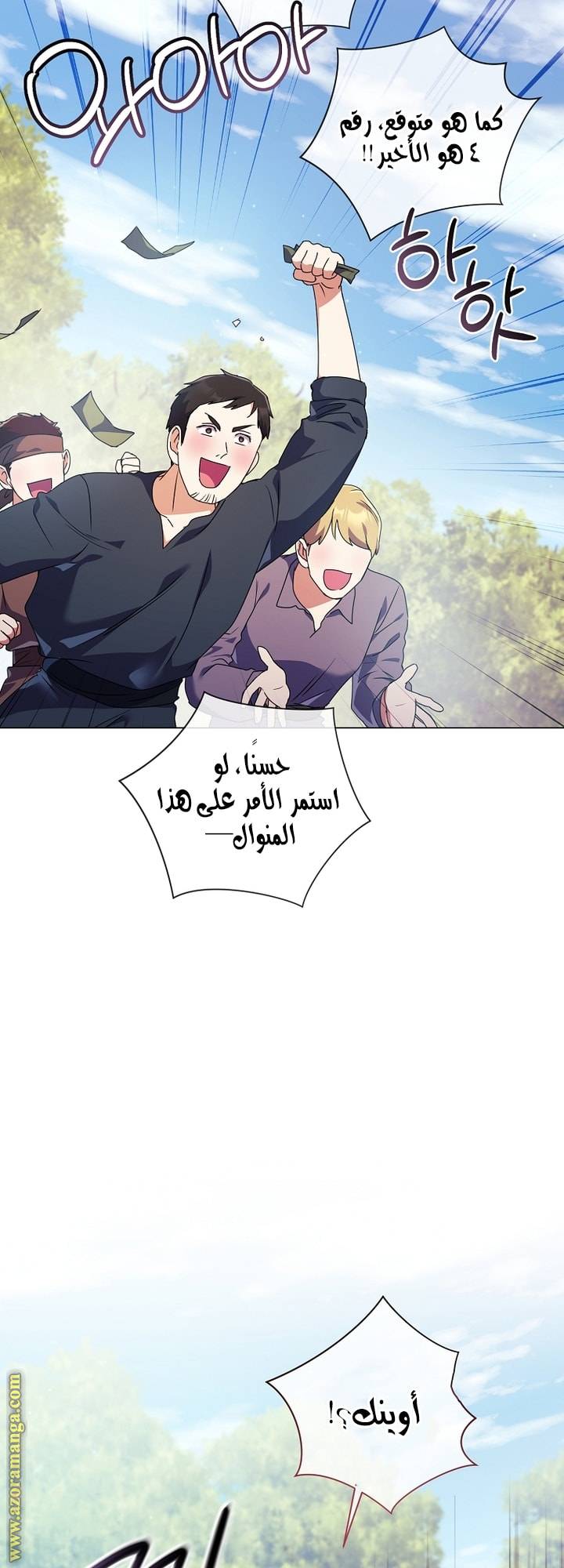 الصفحة 17