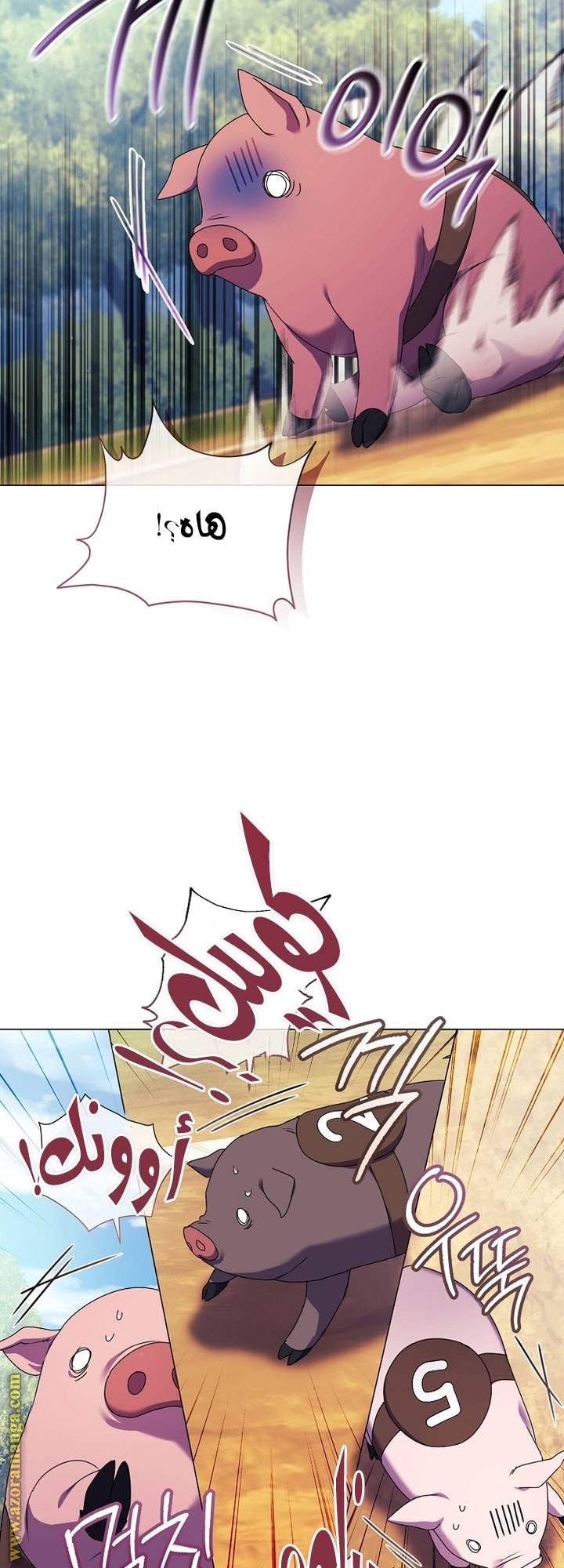 الصفحة 18