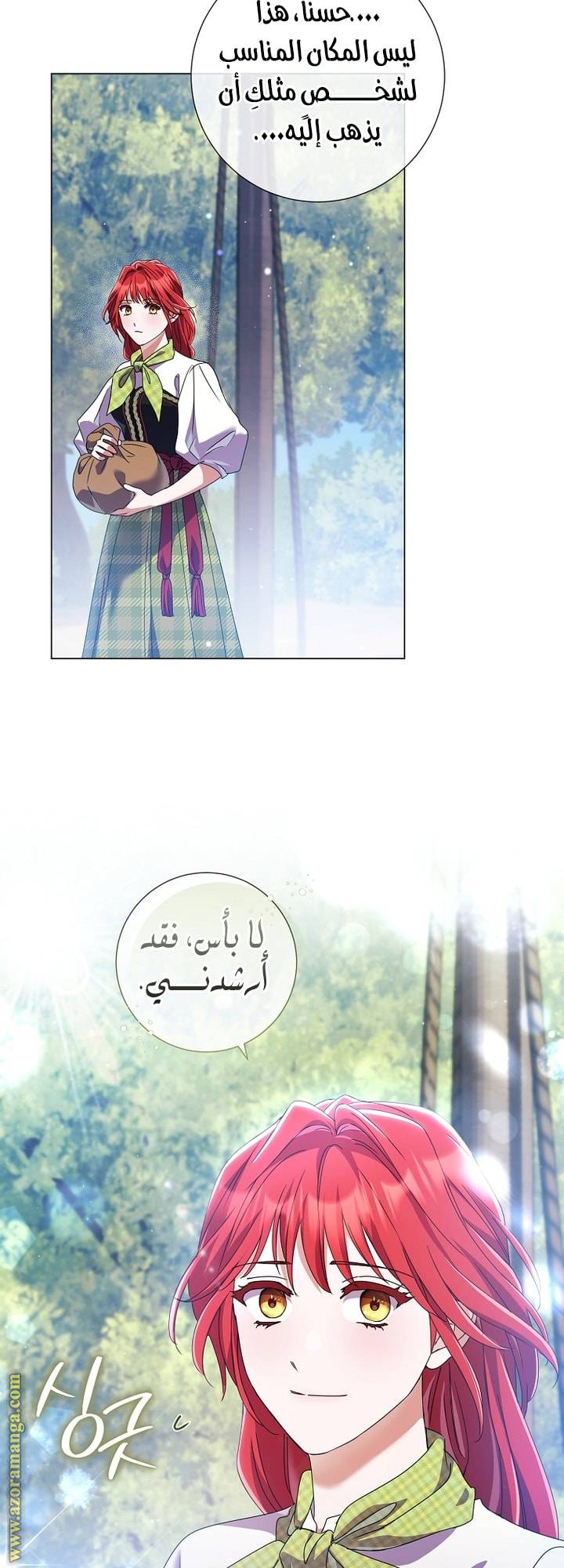 الصفحة 26