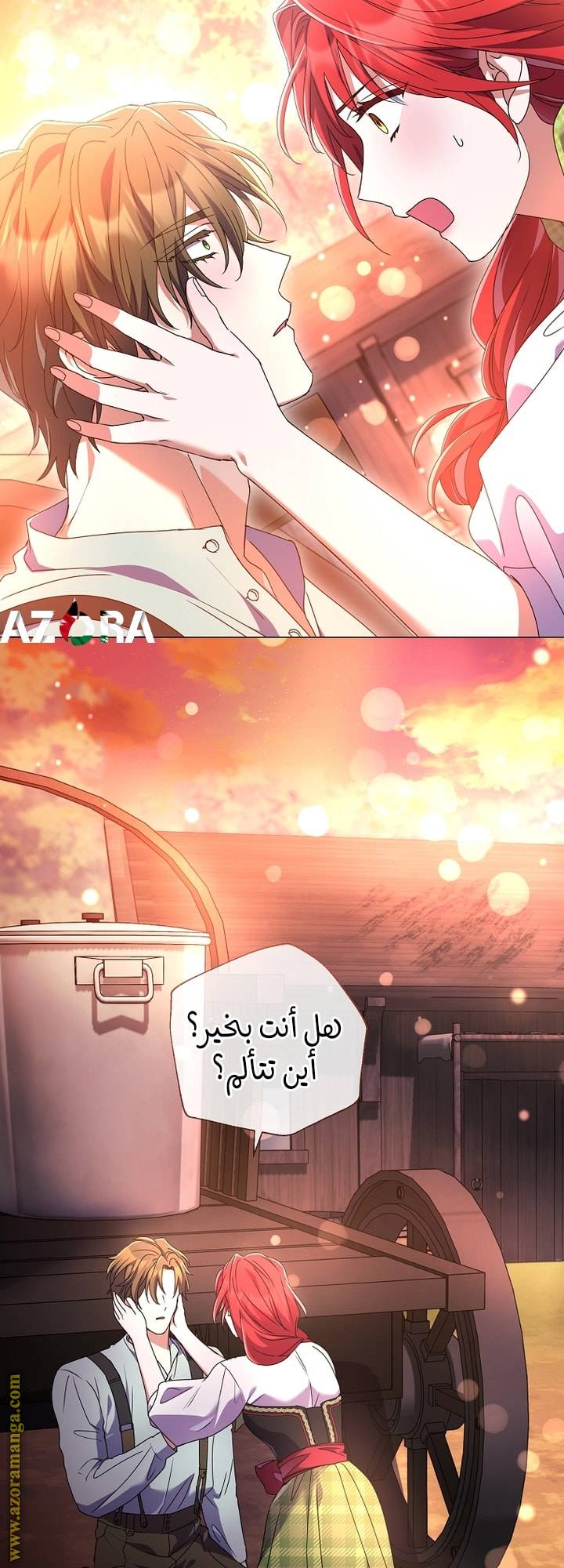 الصفحة 47