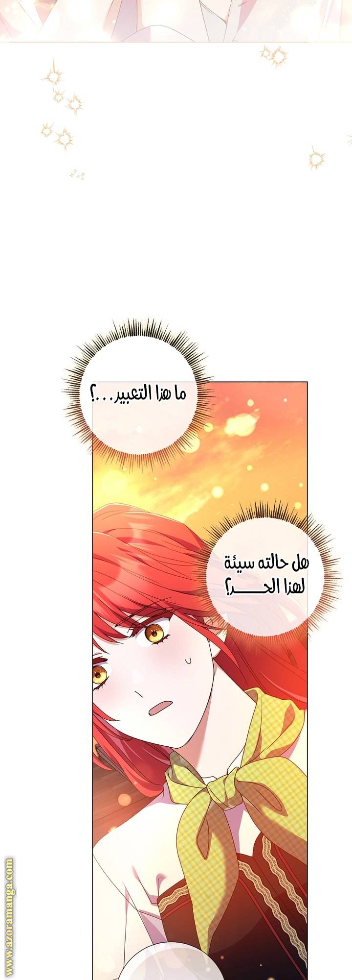 الصفحة 54