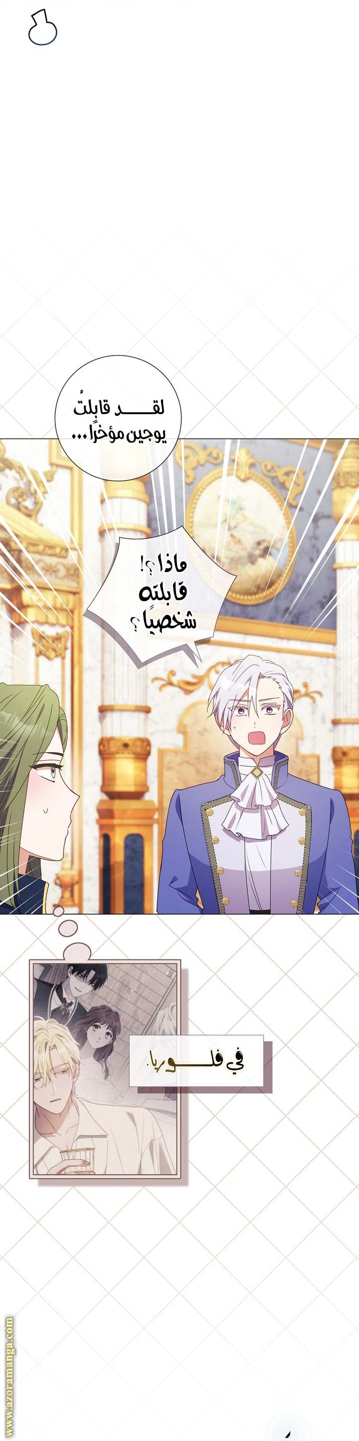 الصفحة 17