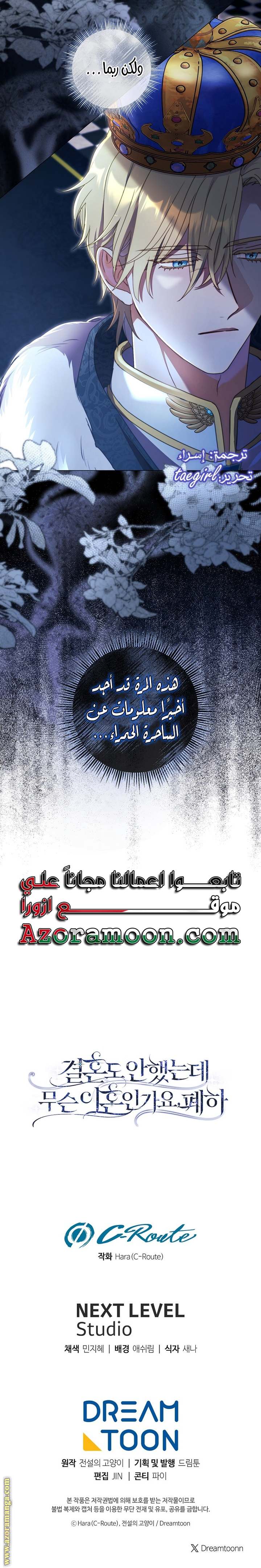الصفحة 28