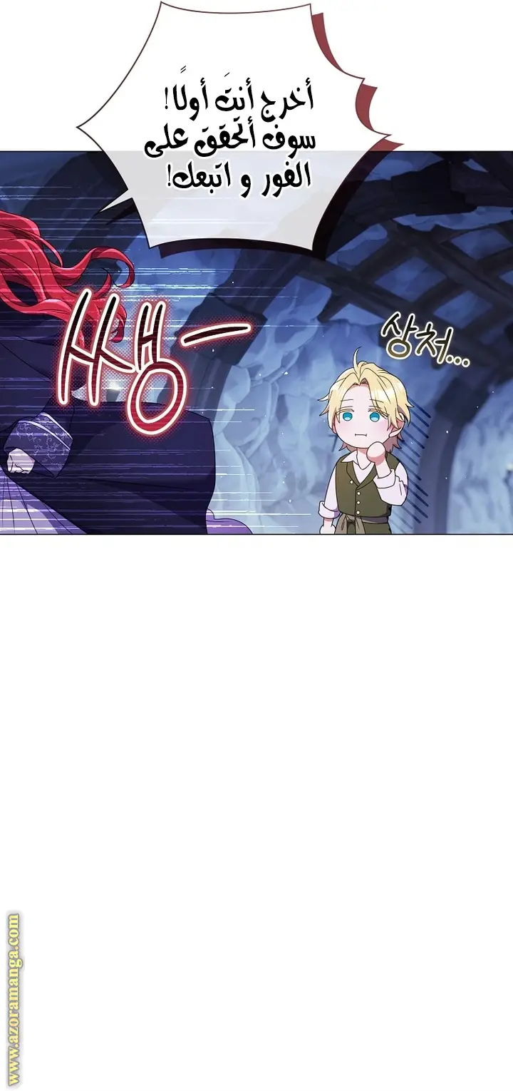 الصفحة 25